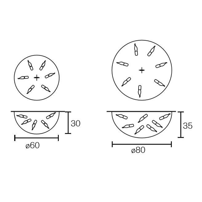 Delphinium Ceiling Round Dimensions