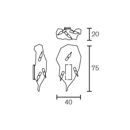 Delphinium Wall Dimensions