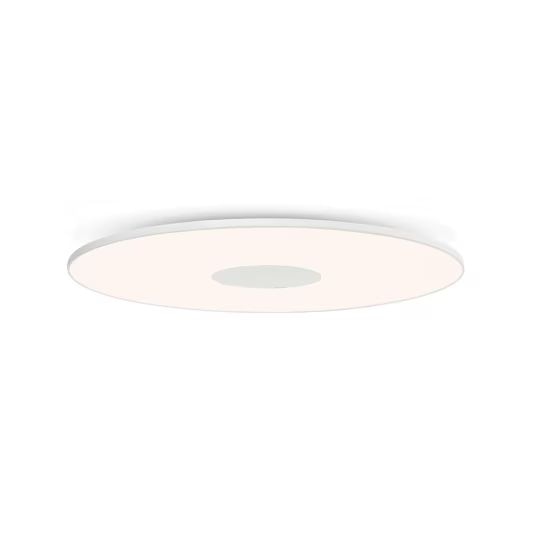 Flush Mount Lights