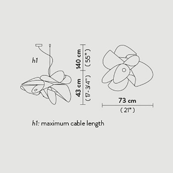 La Belle Etoile Suspension Dimensions