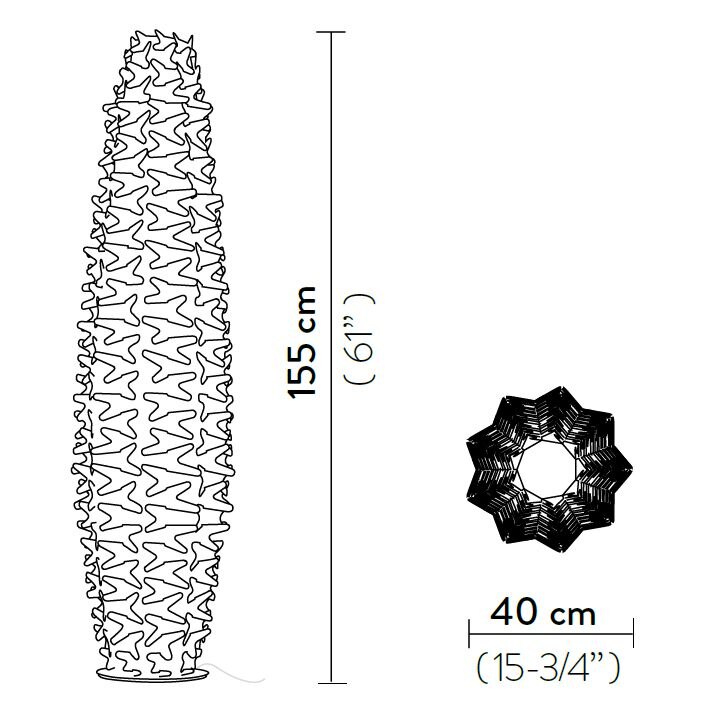 Cactus Floor Dimensions