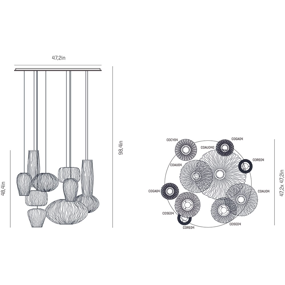 Coral 10 Light Composition Suspension Dimensions