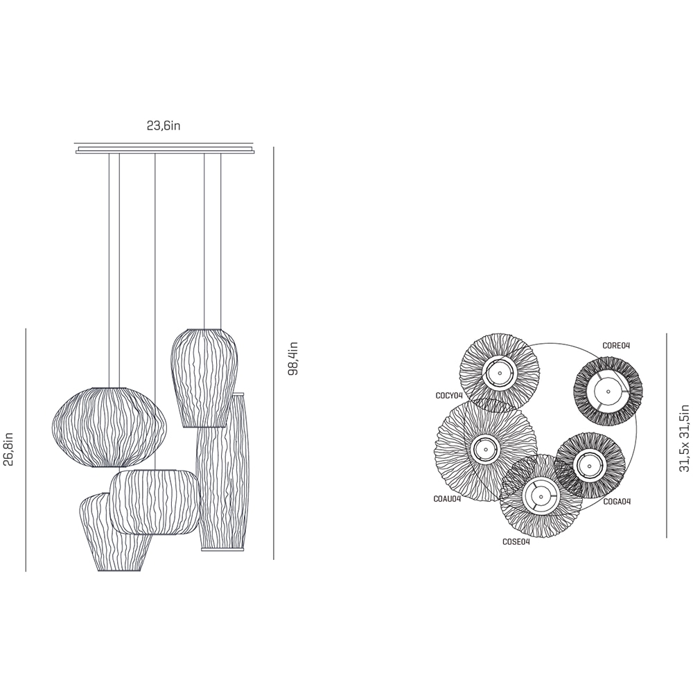 Coral 5 Light Composition Suspension Dimensions