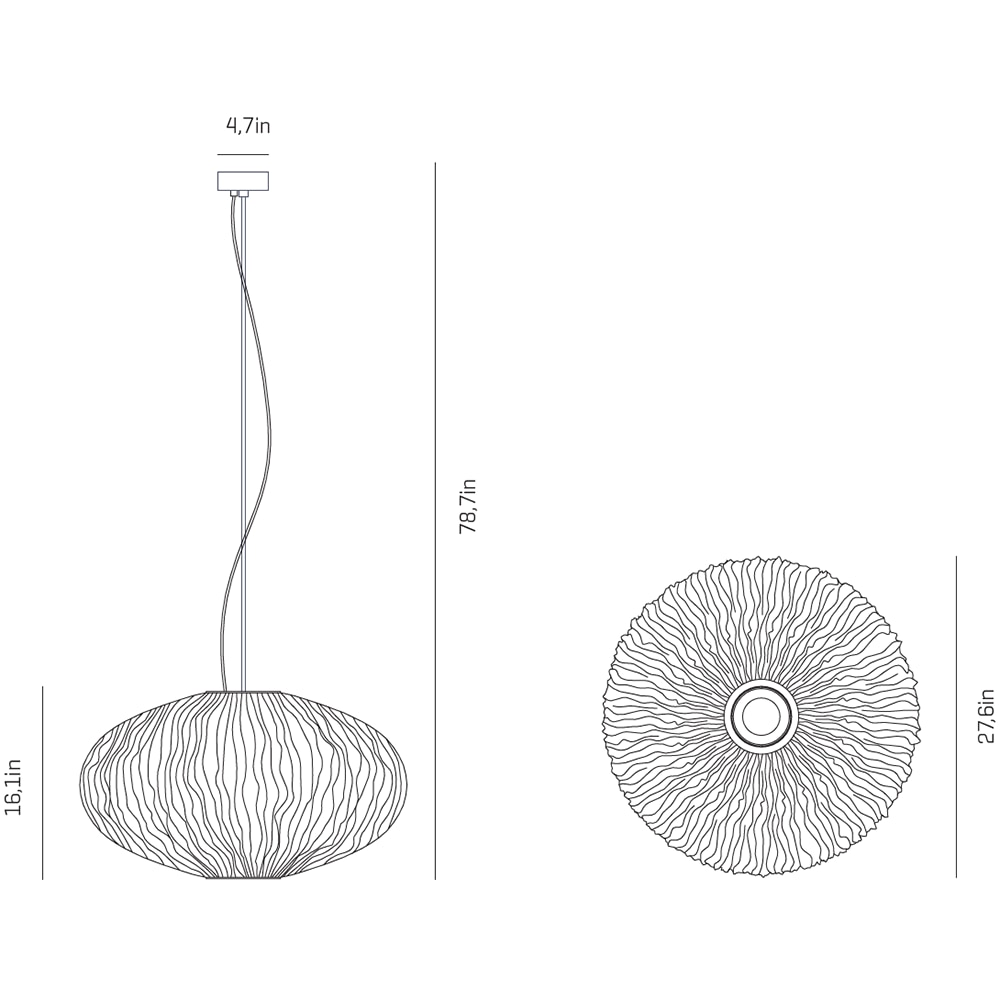 Coral Seaurchin Large Suspension Dimensions