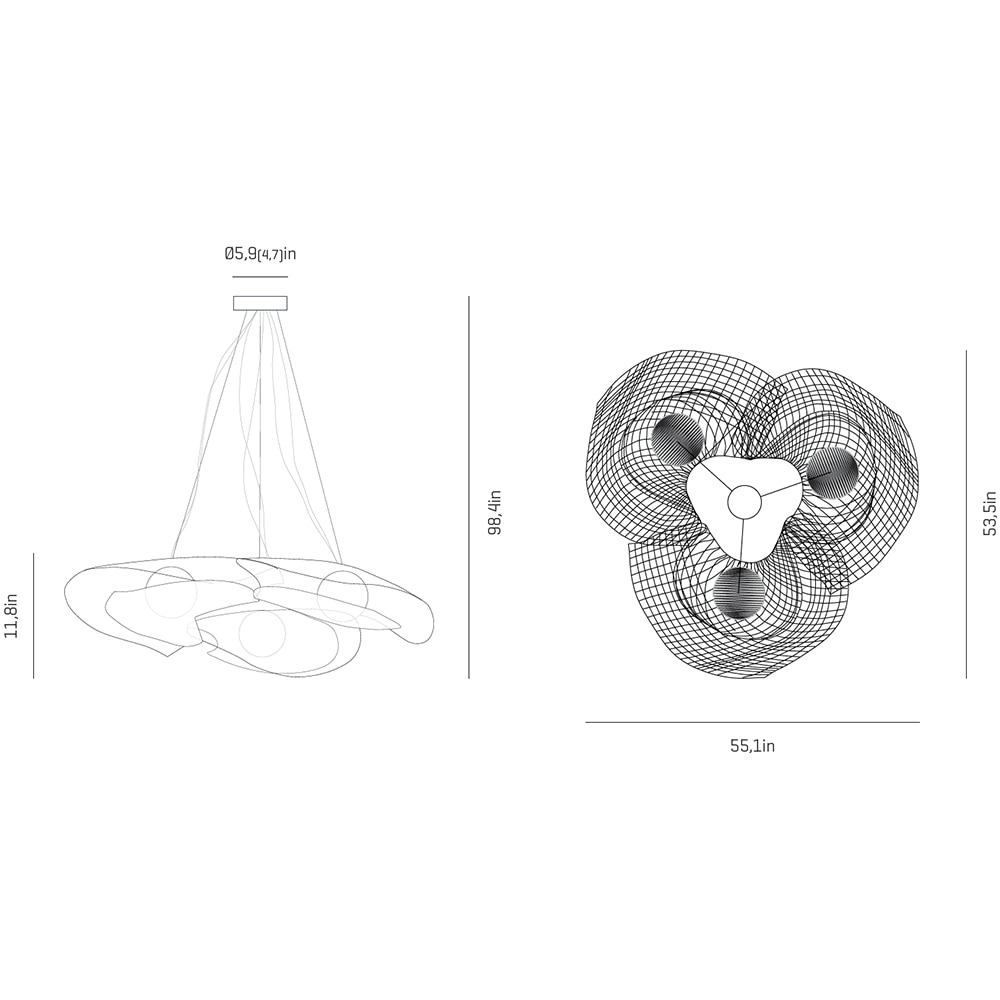 Mytilus Composition Suspension Dimensions