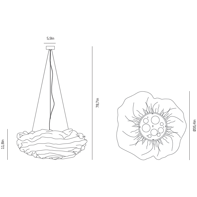 Nevo Large Suspension Dimensions