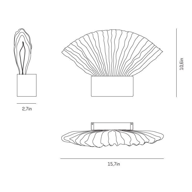 Venus Wall Dimensions