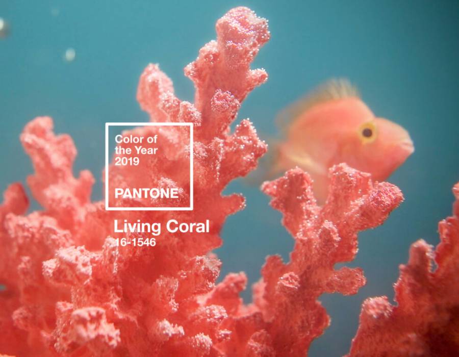 Living Coral Coloured Lighting: Pantone's 2019 Colour of the Year