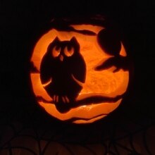 A jack-o'-lantern carved with a scene of an owl sitting on a tree branch in the side