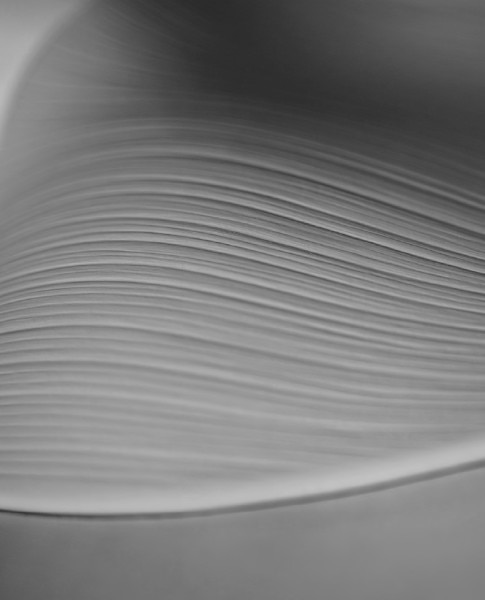 An extreme close-up of a Nightbloom petal's handcrafted detailing.