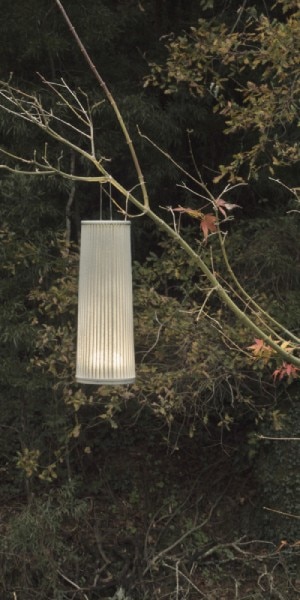 Hipatia outdoor table light, suspended by its handle from a tree branch