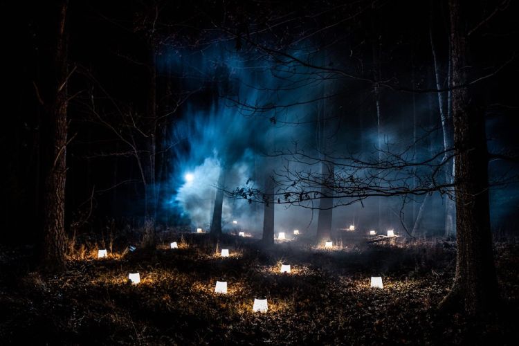 An artistic installation of Cri Cri outdoor floor lanterns from Foscarini in the misty woods on an autumn night.