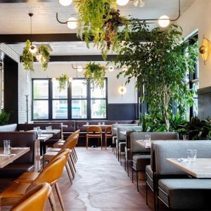 Interior dining area of an Earls Restaurant featuring biophilic design elements and lights supplied by LightForm.