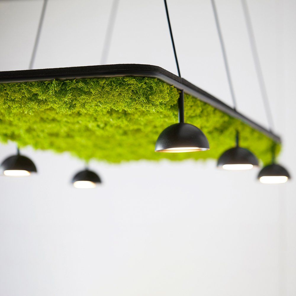 The Cupolina Collection from Estiluz features an optional accessory that incorporates artificial greenery that enhances both aesthetics and acoustics. ​Crafted from 60% recycled PET bottles, this panel not only exemplifies sustainable design but also boasts efficiency in reducing ambient noise.