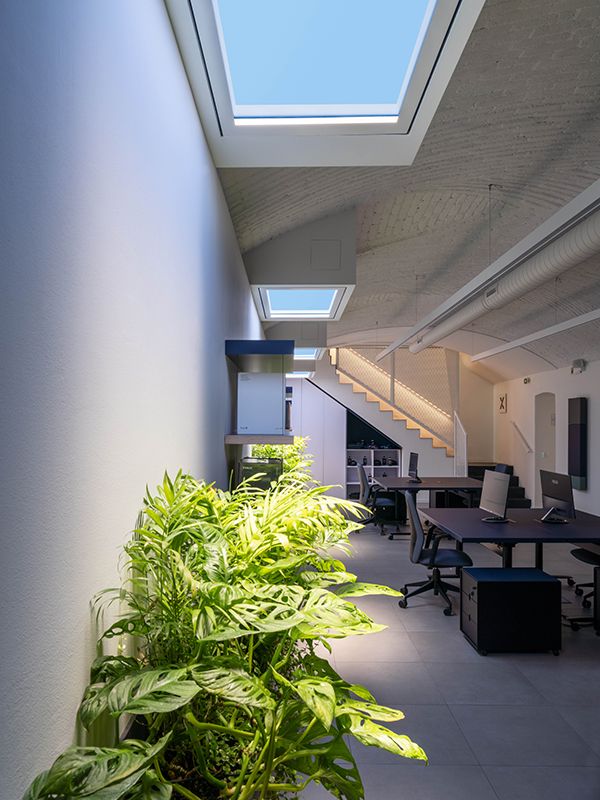Workspace in Milan featuring the CoeLux HT25