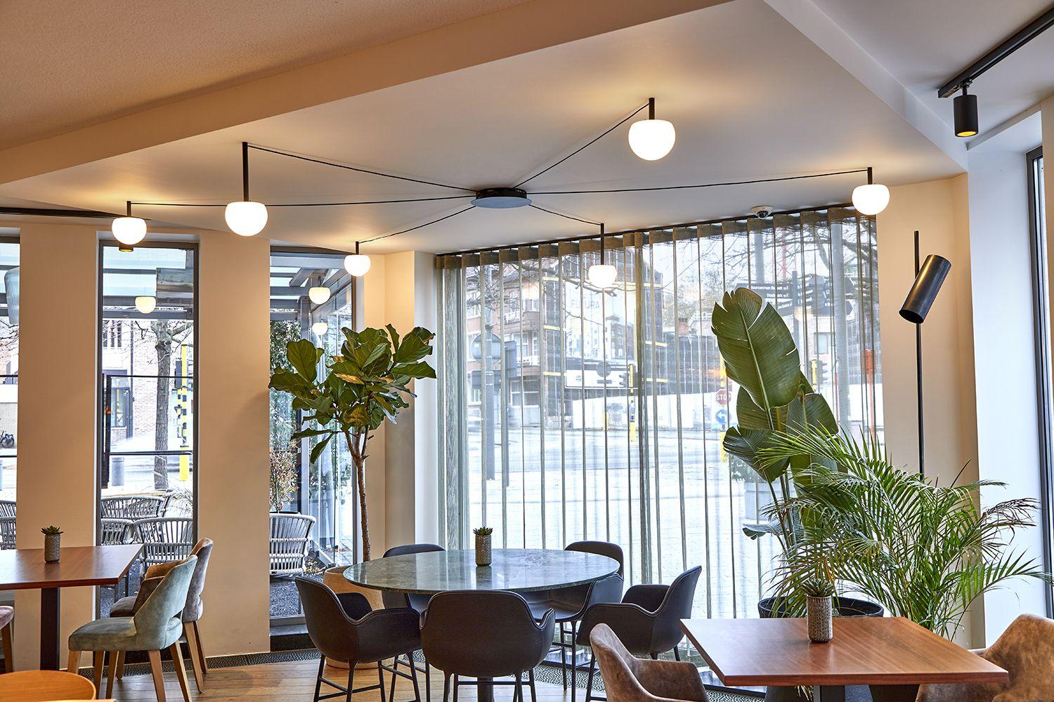 hashotel project