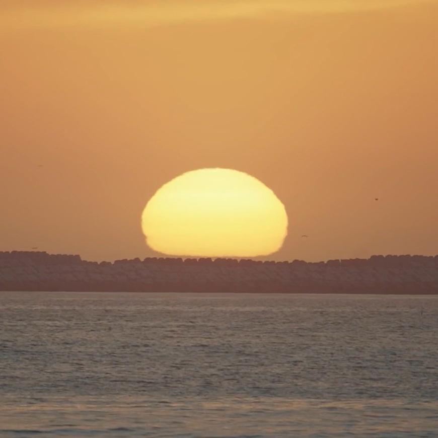 A serene and minimalist living space illuminated by the Cesta Metallica Table Lamp (left) and Babel Table Lamp (right) from Santa & Cole.