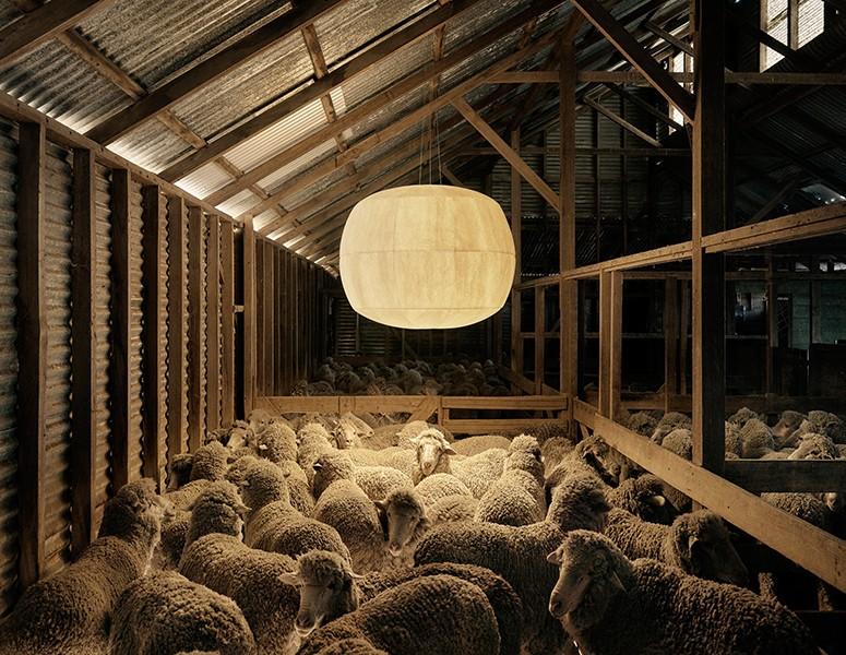 Meet the future of lighting. Introducing Rakumba.