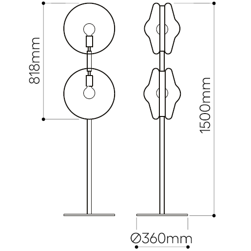 Orbital Floor Dimensions