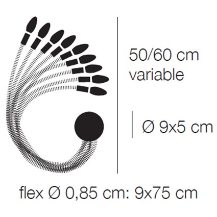 Turciù 9 Wall Dimensions
