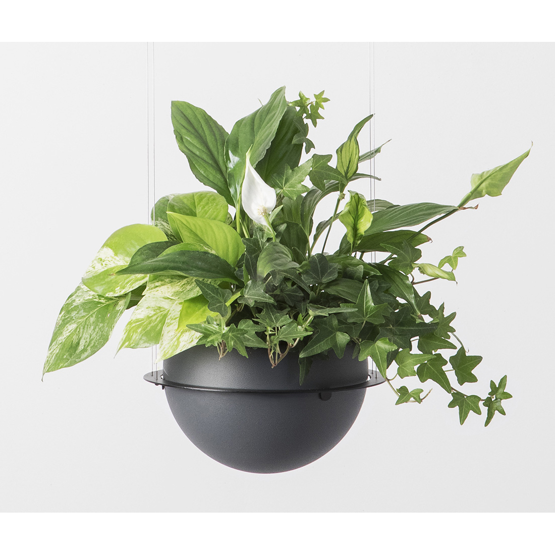 Estiluz Circ Flower Pot Vase Estiluz Lighting