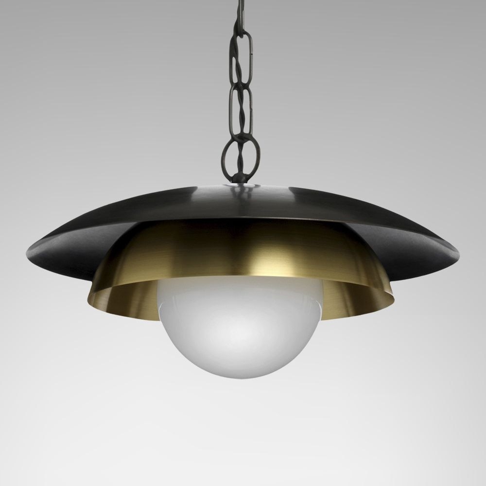 Carapace Suspension With Chain