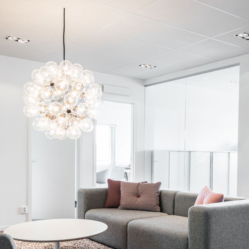 Taraxacum 88 suspension 1 hotsell