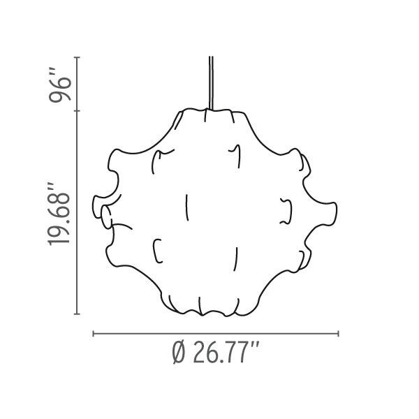 Taraxacum Suspension Dimensions