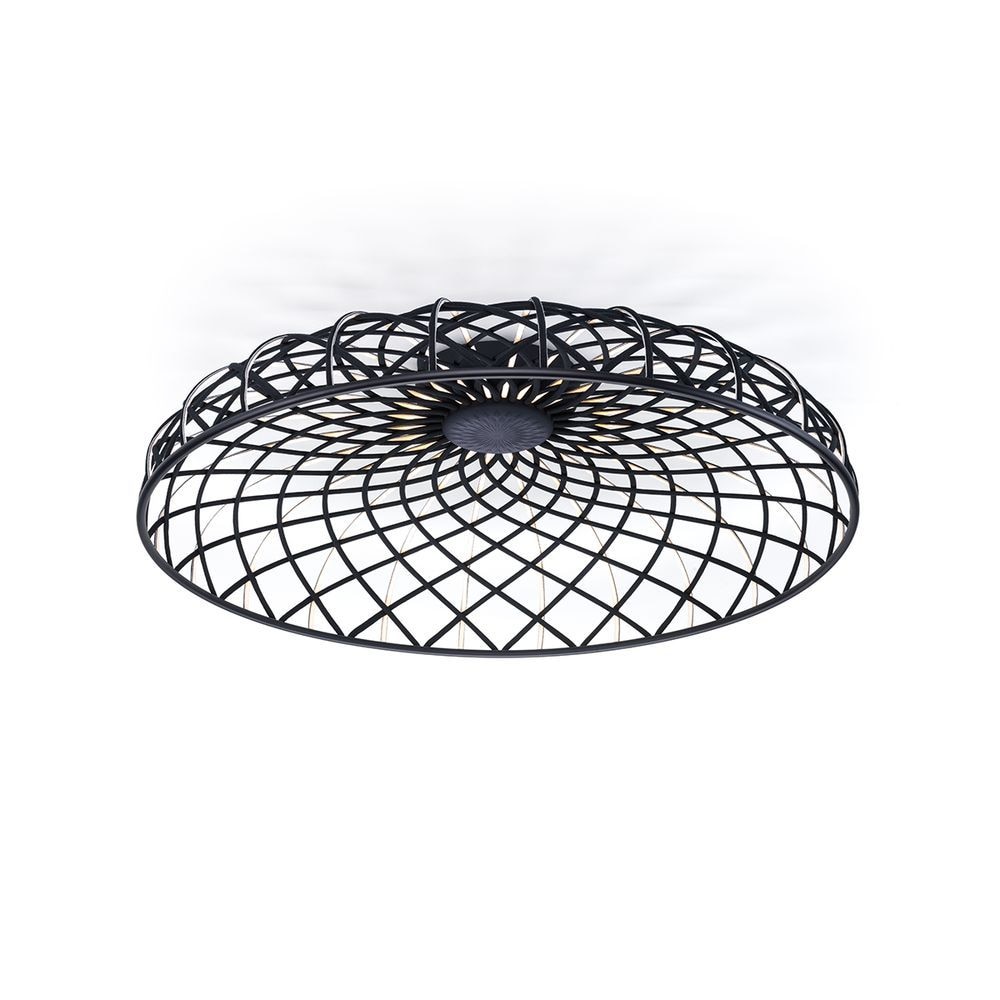 Skynest Ceiling