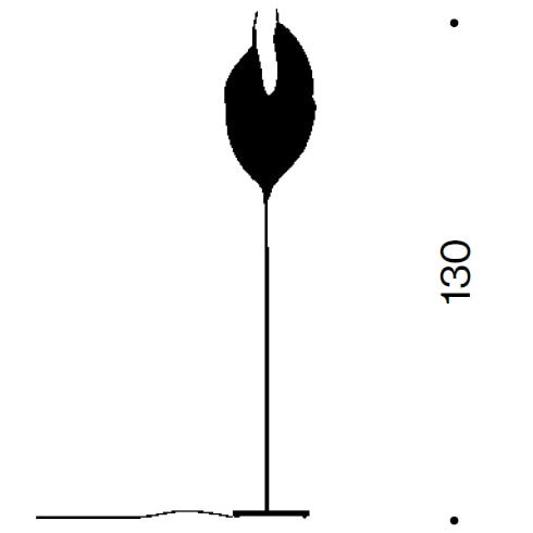 Babadul Floor Dimensions