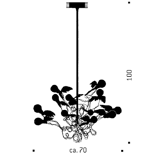 Birdie Suspension Dimensions