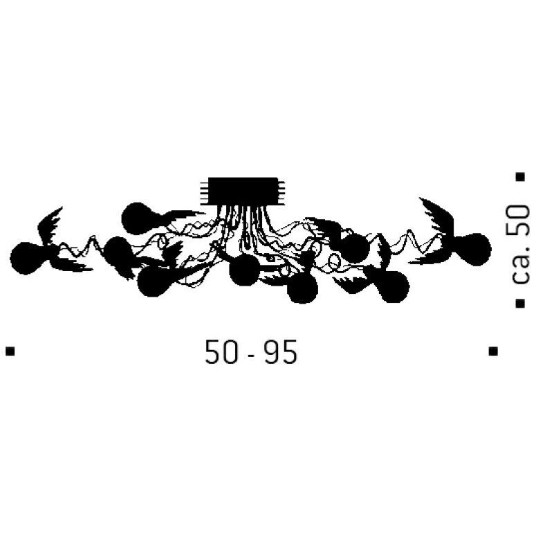 Birdie's Nest Ceiling Dimensions