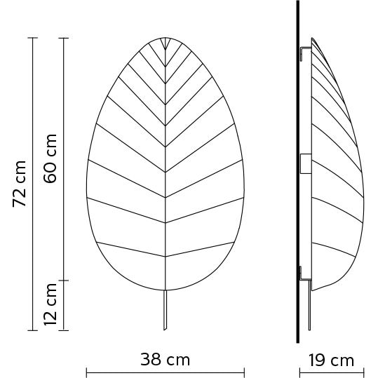 Eden Adamo Ceiling/Wall Dimensions