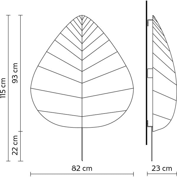 Eden Eden Ceiling/Wall Dimensions