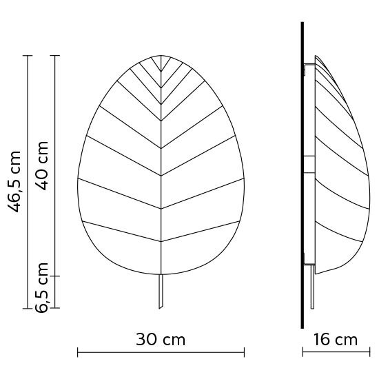 Eden Eva Ceiling/Wall Dimensions