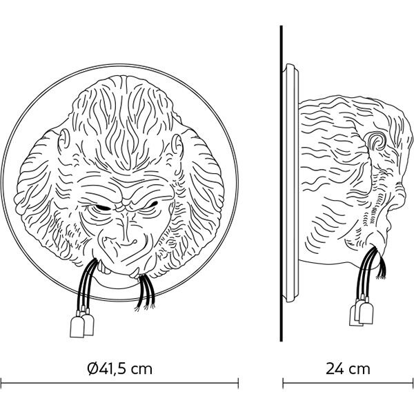 Ugo Rilla Wall Dimensions