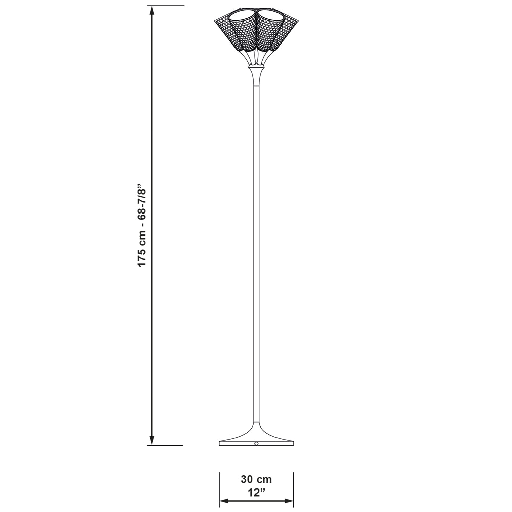Jamz Floor Dimensions