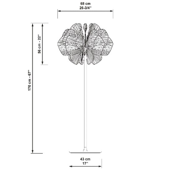 Nightbloom Floor Dimensions