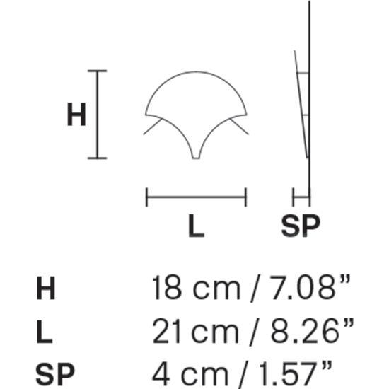 Palm A Wall Dimensions