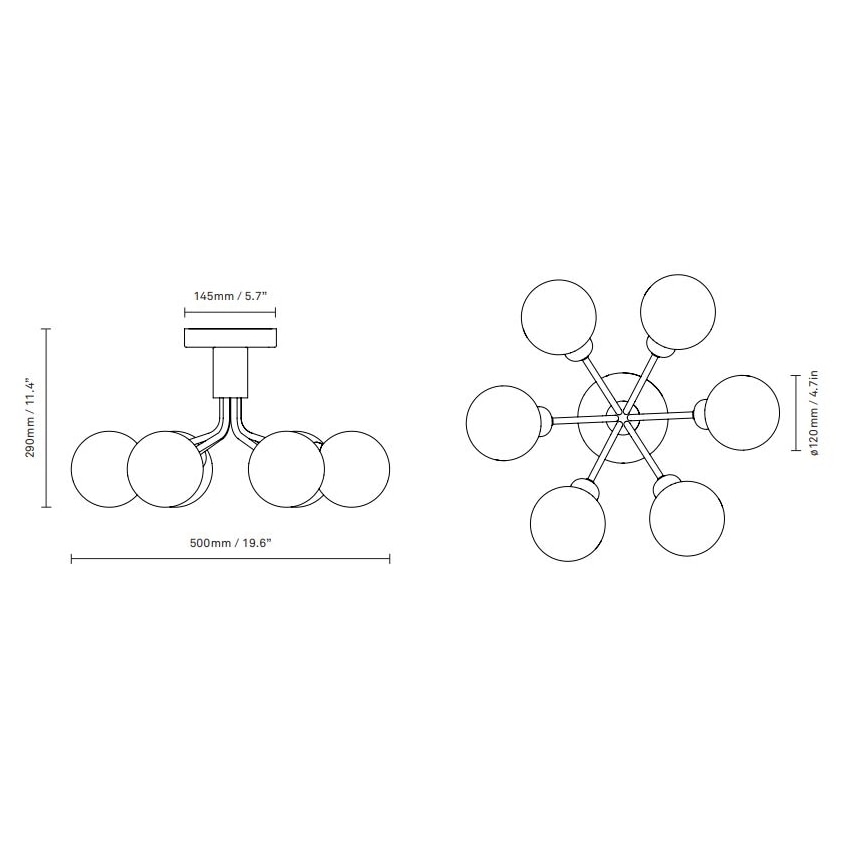 Apiales 6 Ceiling Dimensions