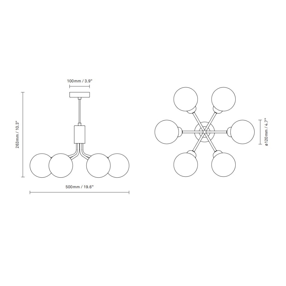 Apiales 6 Suspension Dimensions