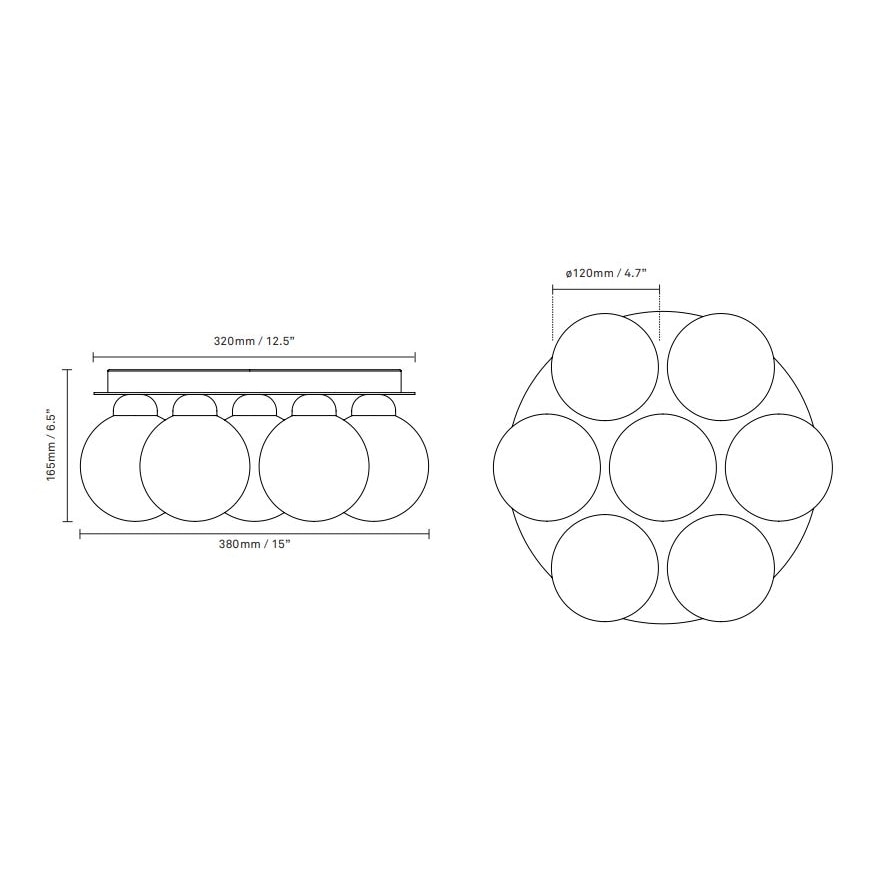 Apiales 7 Plafond Ceiling Dimensions