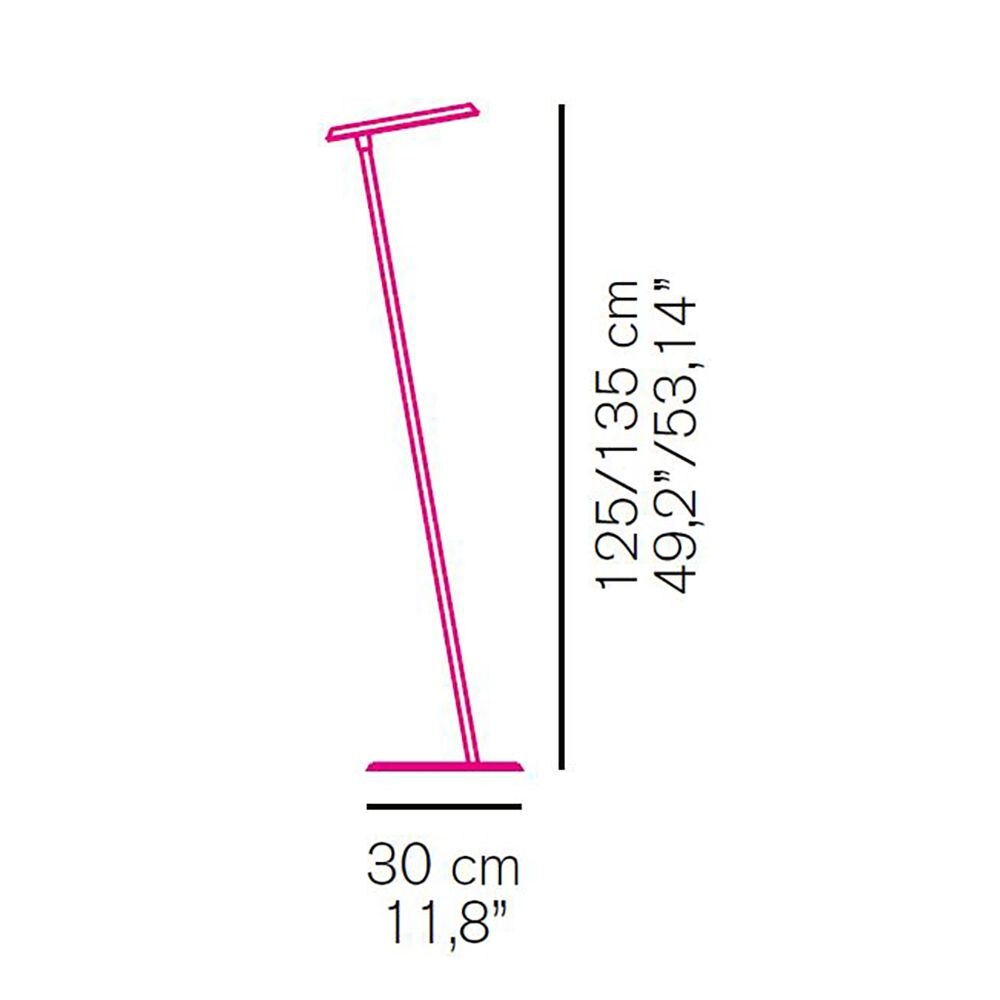 Amanita 619 Floor Dimensions