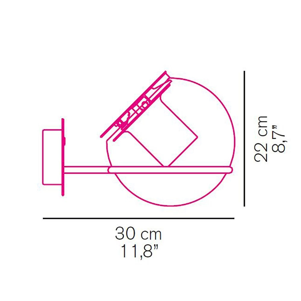 The Globe Wall Dimensions