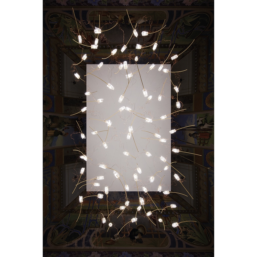 Tulip 14 Free Standing Suspension - Slamp | Chandeliers - USA & Canada