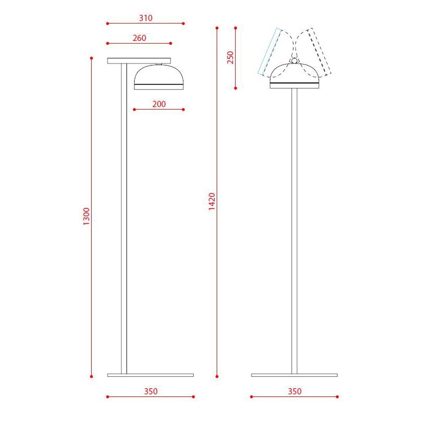 Molly Floor Dimensions